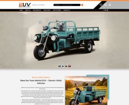ds website