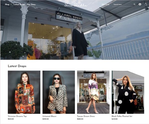 ds website
