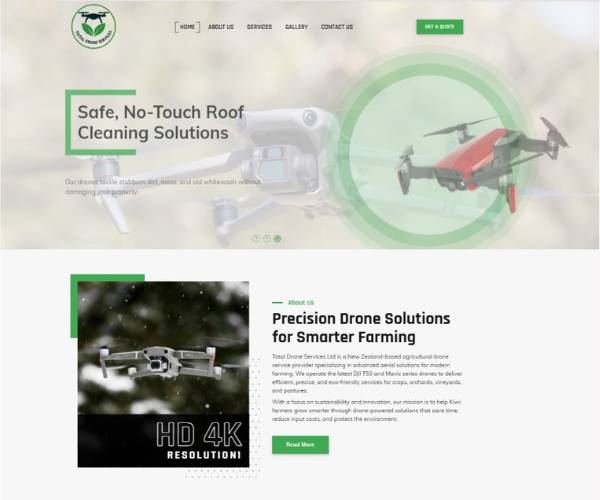 ds website